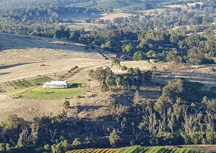 Wine Tours